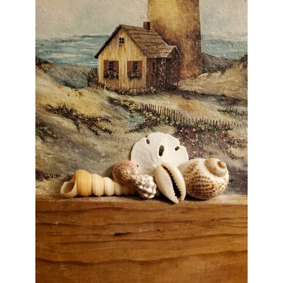 Sherry Masters Lighthouse print with real shells accents - Picture 1 of 3